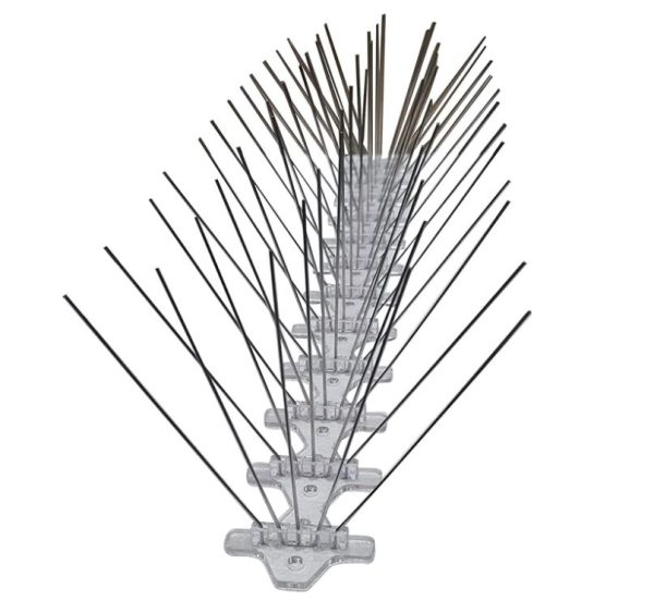 Brid Spike
